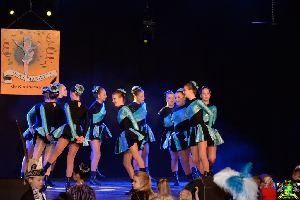 ../Images/Dansmarieke festival 2018 131.jpg
